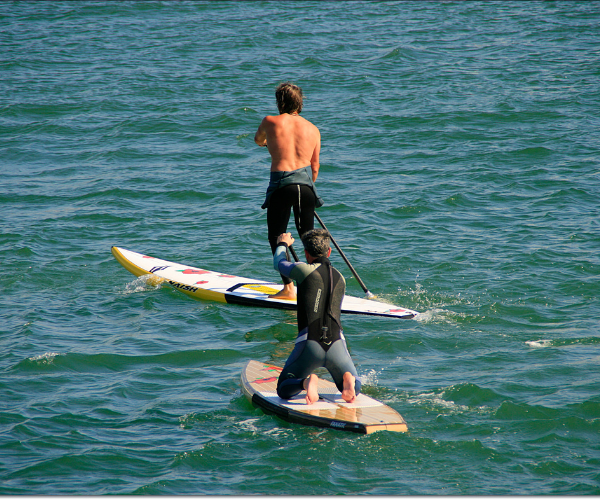 Chesapeake Bay Calendar of Events Marinalife